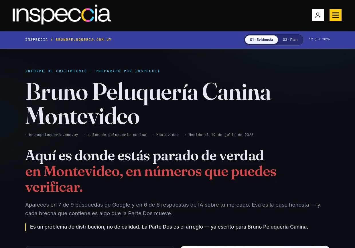 Informe de muestra — el veredicto sobre tu visibilidad en Google y en la IA, con la evidencia y el playbook